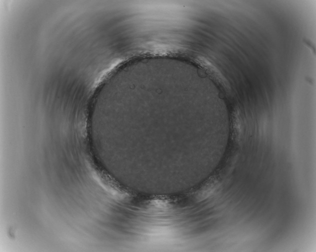 X0000102290496200808151957