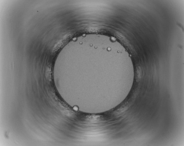 X0000102290497200808151957