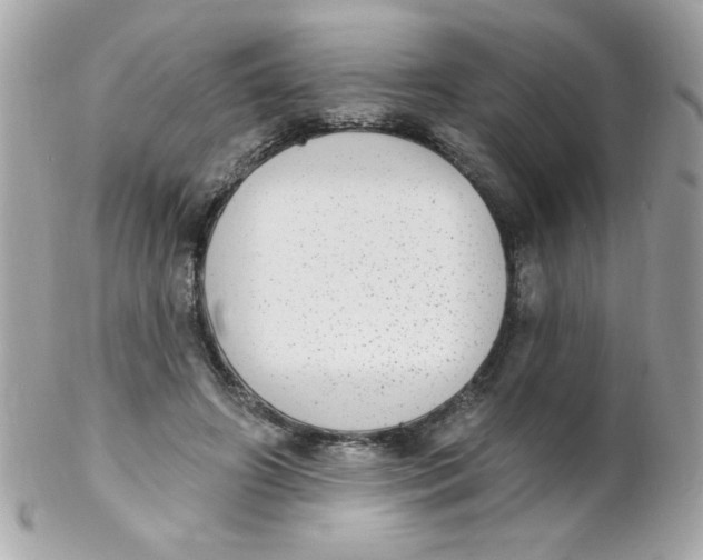 X0000102290498200808151957