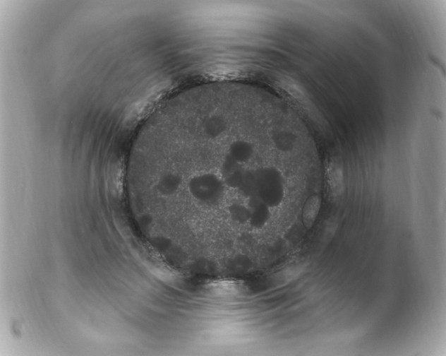 X0000102290499200808151957