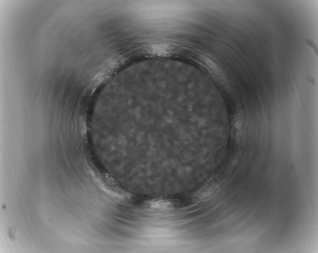 X0000102290500200808151957