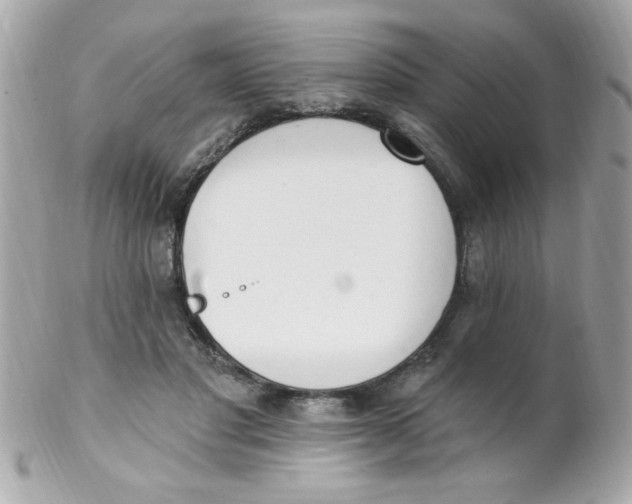 X0000102290501200808151957