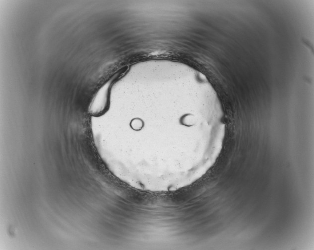 X0000102290503200808151957