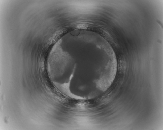 X0000102290504200808151957