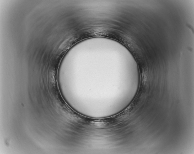 X0000102290506200808151957