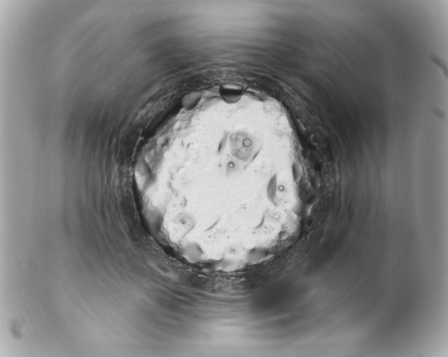 X0000102290507200808151957