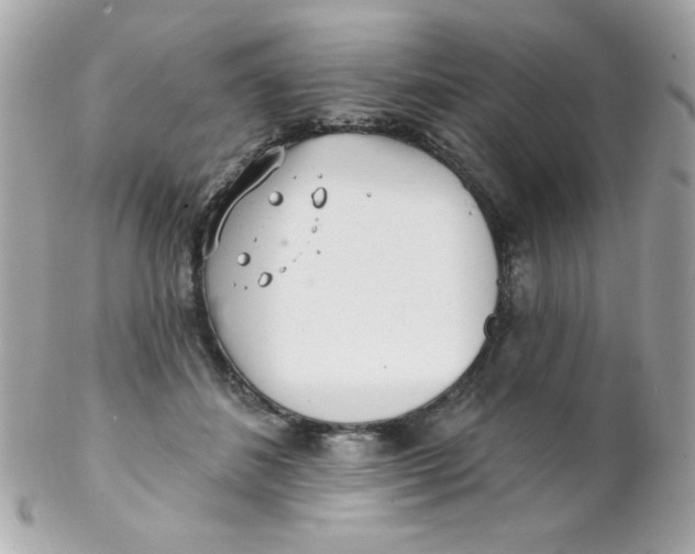 X0000102290508200808151957