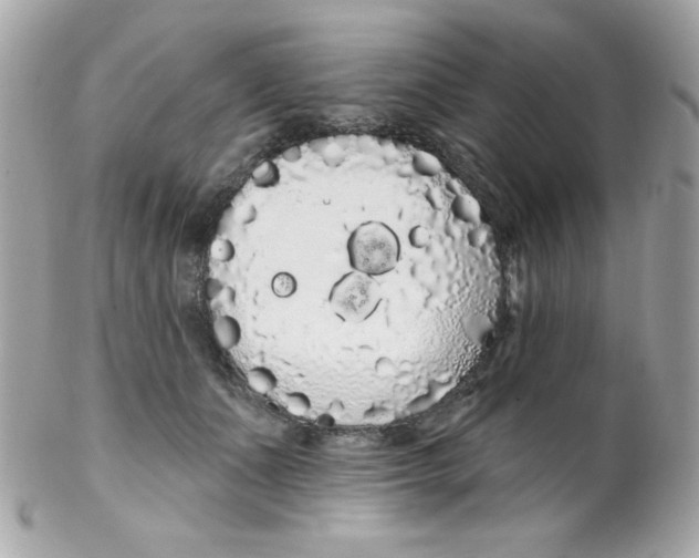 X0000102290511200808151957