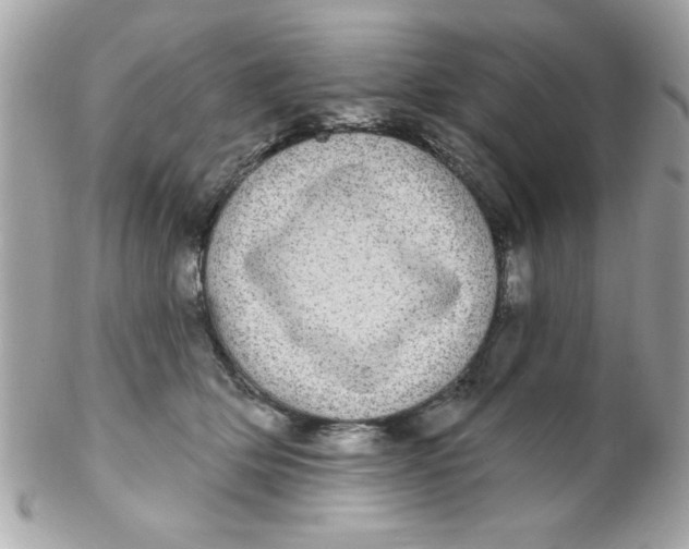 X0000102290514200808151956