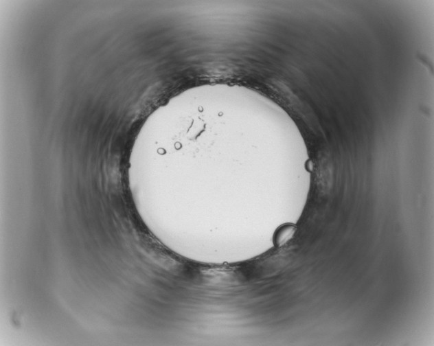 X0000102290516200808151956