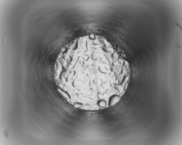 X0000102290519200808151956