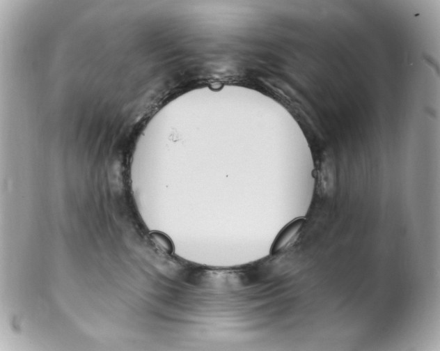 X0000102290520200808151956