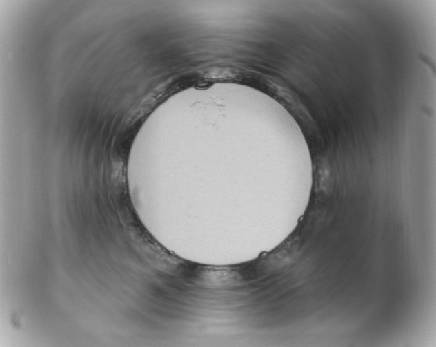 X0000102290521200808151956