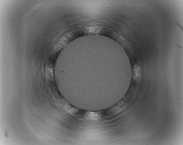 X0000102290522200808151956