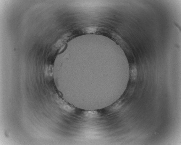 X0000102290525200808151956