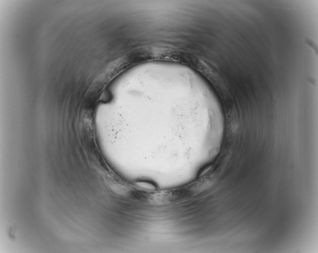 X0000102290527200808151956