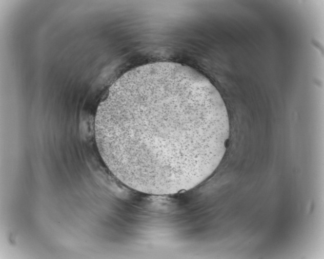 X0000102290528200808151956