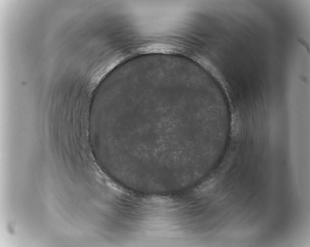 X0000102290529200808151955