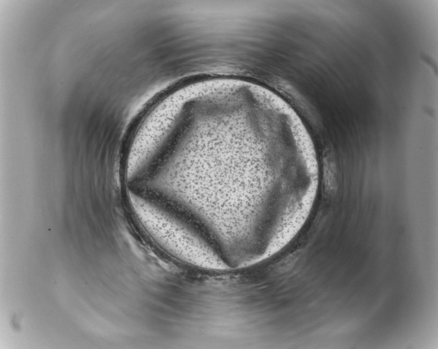 X0000102290532200808151955