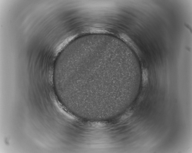 X0000102290533200808151955