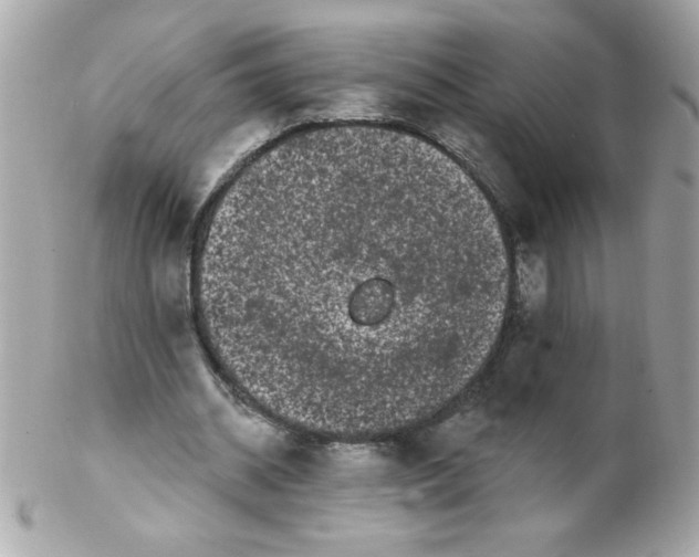 X0000102290534200808151955