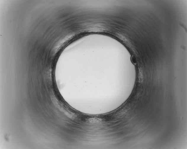 X0000102290535200808151955