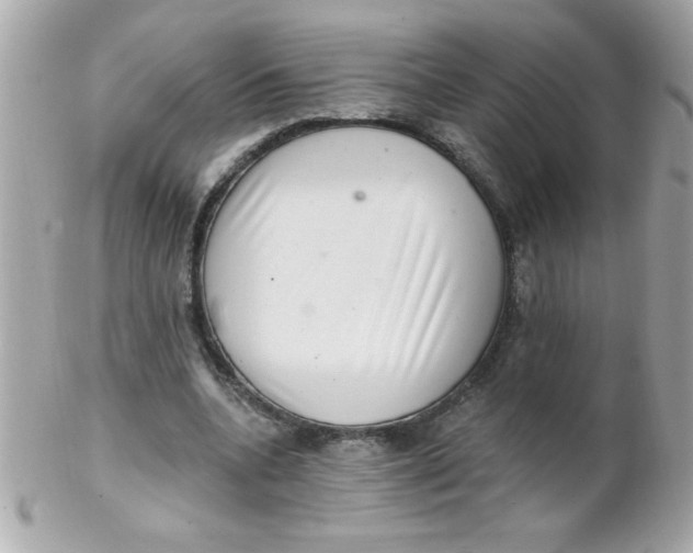 X0000102290536200808151955