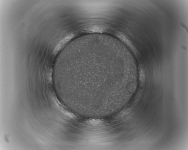 X0000102290537200808151955