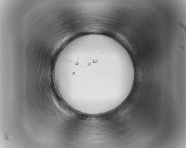 X0000102290538200808151956