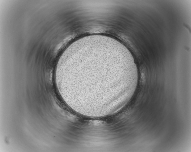 X0000102290539200808151956