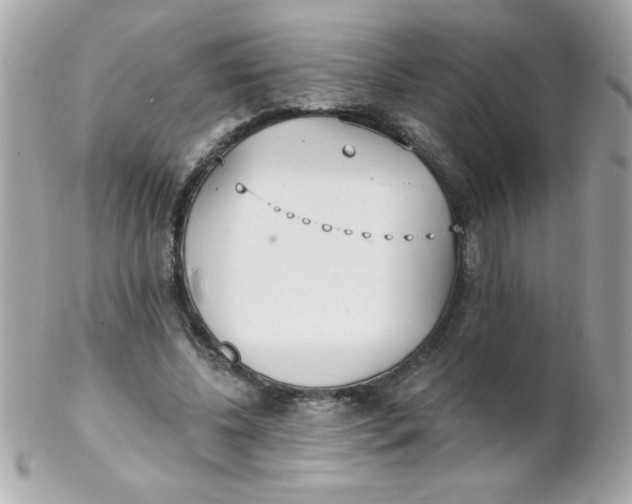 X0000102290540200808151956