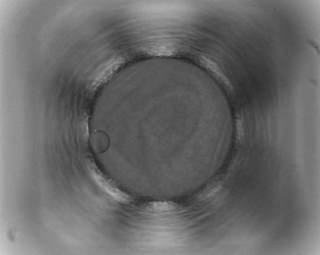 X0000102290541200808151956