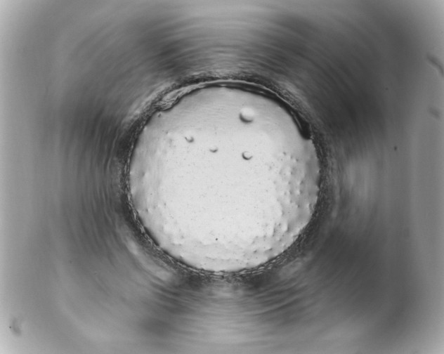 X0000102290542200808151956