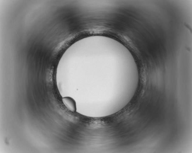 X0000102290543200808151956