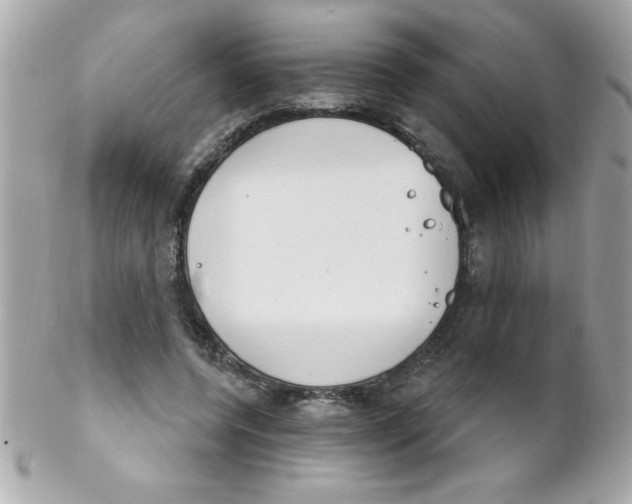 X0000102290544200808151956