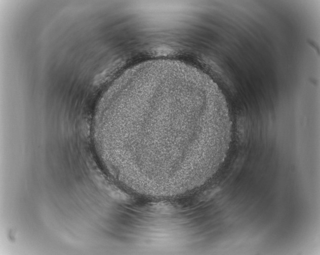 X0000102290545200808151956