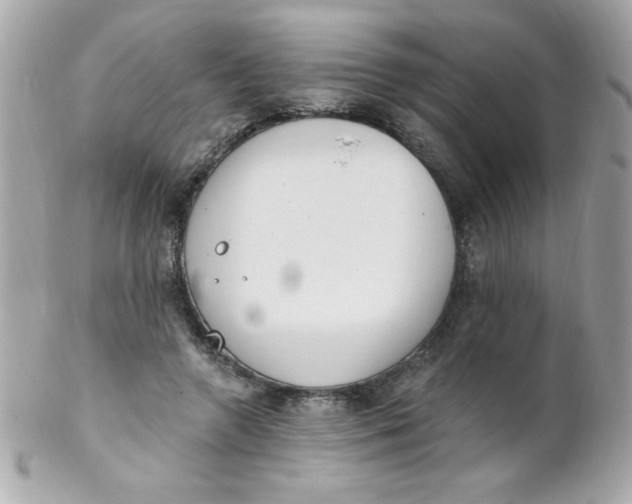 X0000102290546200808151956