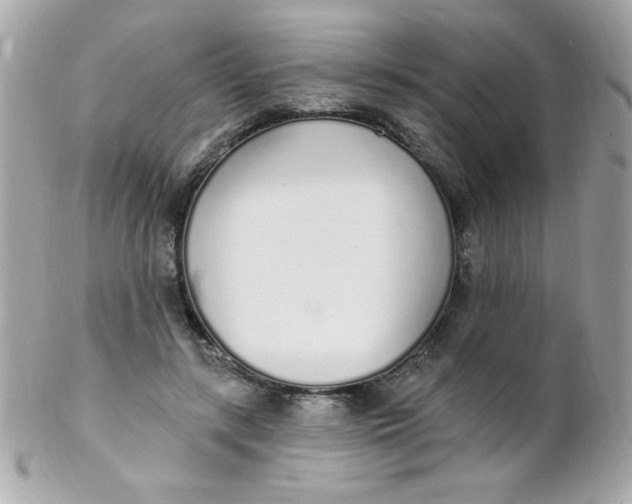 X0000102290547200808151956