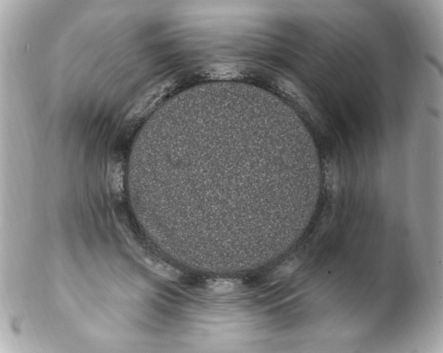 X0000102290549200808151956