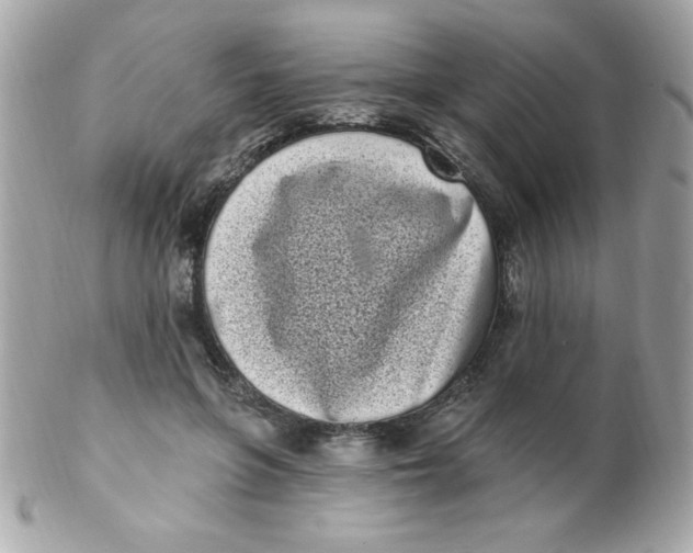 X0000102290551200808151956