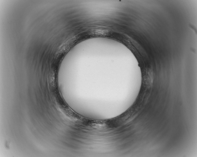 X0000102290552200808151956