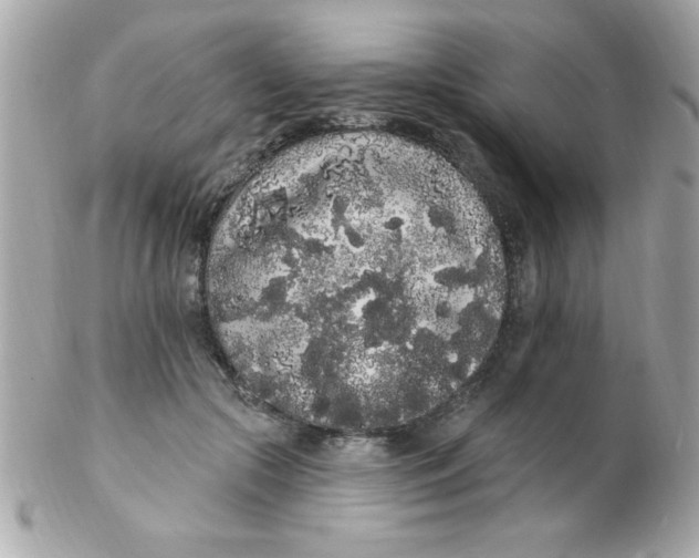 X0000102290553200808151956