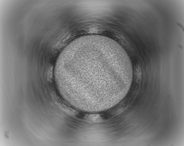 X0000102290554200808151956