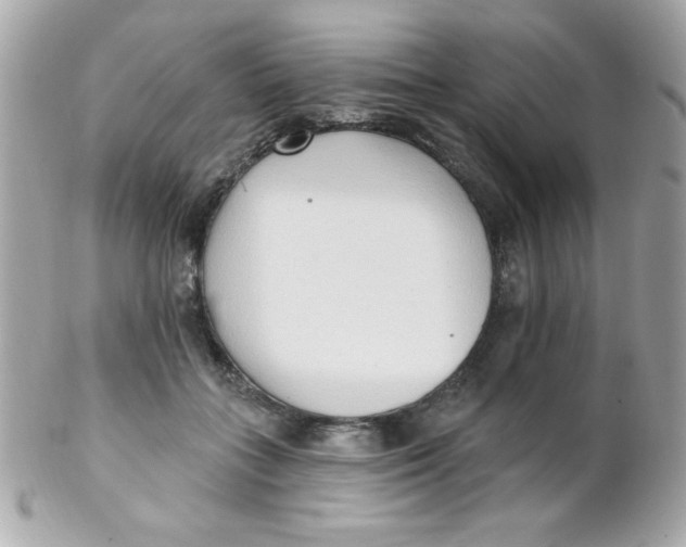 X0000102290555200808151956