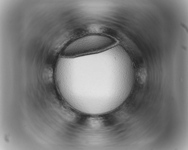 X0000102290556200808151956