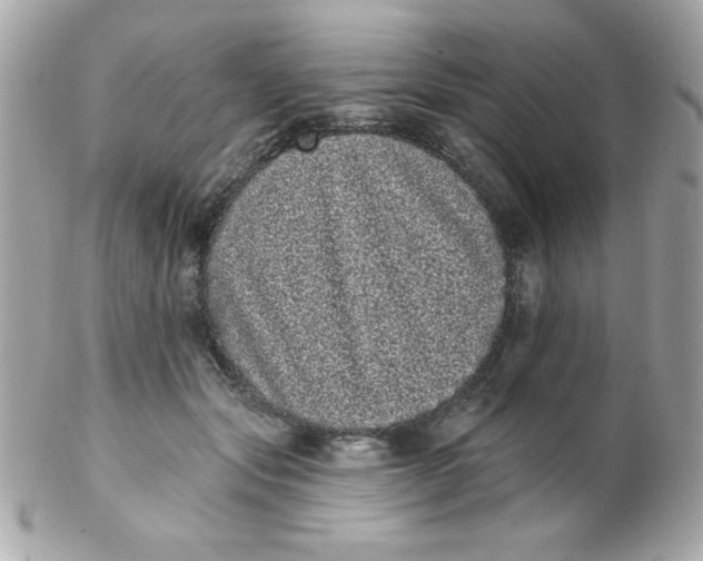 X0000102290557200808151956