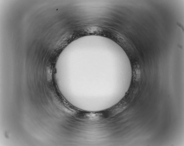 X0000102290558200808151956