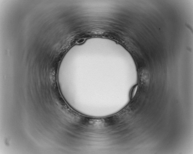 X0000102290559200808151956