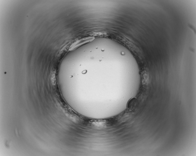 X0000102290560200808151956