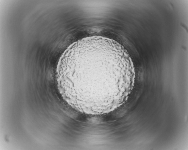 X0000102290561200808151956